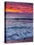 USA, California, La Jolla, Reflections of Sunset at Windansea Beach-Ann Collins-Stretched Canvas
