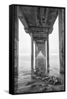 USA, California, La Jolla, Scripps Pier, Sunrise-John Ford-Framed Stretched Canvas