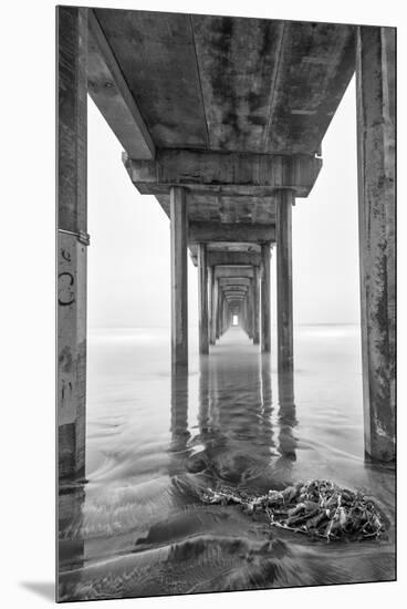 USA, California, La Jolla, Scripps Pier, Sunrise-John Ford-Mounted Premium Photographic Print