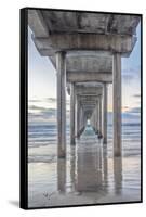 USA, California, La Jolla, Scripps Pier-Rob Tilley-Framed Stretched Canvas