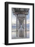 USA, California, La Jolla, Scripps Pier-Rob Tilley-Framed Premium Photographic Print