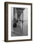 USA, California, La Jolla, Scripps Pier-Peter Hawkins-Framed Photographic Print