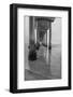 USA, California, La Jolla, Scripps Pier-Peter Hawkins-Framed Photographic Print