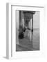 USA, California, La Jolla, Scripps Pier-Peter Hawkins-Framed Photographic Print