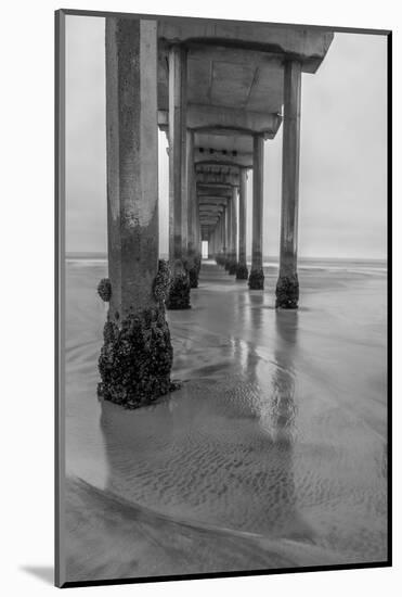 USA, California, La Jolla, Scripps Pier-Peter Hawkins-Mounted Photographic Print