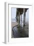 USA, California, La Jolla, Scripps Pier-Peter Hawkins-Framed Photographic Print