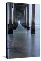 USA, California, La Jolla, Scripps Pier-Peter Hawkins-Stretched Canvas