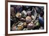 USA, California, La Jolla. Seashells on beach.-Jaynes Gallery-Framed Premium Photographic Print