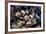 USA, California, La Jolla. Seashells on beach.-Jaynes Gallery-Framed Premium Photographic Print