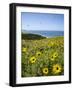 USA, California, La Jolla. Spring at Torrey Pines Gliderport-Ann Collins-Framed Photographic Print