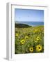 USA, California, La Jolla. Spring at Torrey Pines Gliderport-Ann Collins-Framed Photographic Print