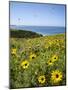 USA, California, La Jolla. Spring at Torrey Pines Gliderport-Ann Collins-Mounted Photographic Print