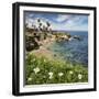 USA, California, La Jolla. Springtime at La Jolla Cove-Ann Collins-Framed Photographic Print