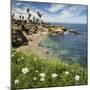 USA, California, La Jolla. Springtime at La Jolla Cove-Ann Collins-Mounted Photographic Print