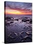 USA, California, La Jolla, Sunset at Coast Boulevard Park-Ann Collins-Stretched Canvas