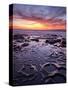 USA, California, La Jolla, Sunset at Coast Boulevard Park-Ann Collins-Stretched Canvas