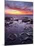 USA, California, La Jolla, Sunset at Coast Boulevard Park-Ann Collins-Mounted Photographic Print