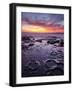 USA, California, La Jolla, Sunset at Coast Boulevard Park-Ann Collins-Framed Photographic Print