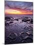 USA, California, La Jolla, Sunset at Coast Boulevard Park-Ann Collins-Mounted Photographic Print