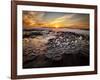 USA, California, La Jolla, Sunset at Hospital Reef-Ann Collins-Framed Photographic Print