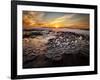 USA, California, La Jolla, Sunset at Hospital Reef-Ann Collins-Framed Photographic Print