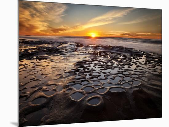 USA, California, La Jolla, Sunset at Hospital Reef-Ann Collins-Mounted Photographic Print