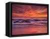 USA, California, La Jolla. Sunset at North End of Windansea Beach-Ann Collins-Framed Stretched Canvas