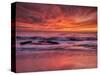 USA, California, La Jolla. Sunset at North End of Windansea Beach-Ann Collins-Stretched Canvas