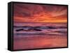 USA, California, La Jolla. Sunset at North End of Windansea Beach-Ann Collins-Framed Stretched Canvas