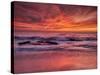 USA, California, La Jolla. Sunset at North End of Windansea Beach-Ann Collins-Stretched Canvas