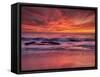 USA, California, La Jolla. Sunset at North End of Windansea Beach-Ann Collins-Framed Stretched Canvas