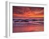 USA, California, La Jolla. Sunset at North End of Windansea Beach-Ann Collins-Framed Photographic Print