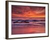 USA, California, La Jolla. Sunset at North End of Windansea Beach-Ann Collins-Framed Photographic Print