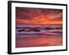 USA, California, La Jolla. Sunset at North End of Windansea Beach-Ann Collins-Framed Photographic Print