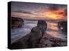 USA, California, La Jolla, Sunset, Coast Boulevard Park-Ann Collins-Stretched Canvas