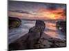 USA, California, La Jolla, Sunset, Coast Boulevard Park-Ann Collins-Mounted Photographic Print