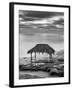 USA, California, La Jolla. Surf shack at Windansea Beach-Ann Collins-Framed Photographic Print