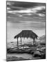 USA, California, La Jolla. Surf shack at Windansea Beach-Ann Collins-Mounted Photographic Print