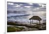 USA, California, La Jolla. Surf Shack at Windansea Beach-Ann Collins-Framed Photographic Print