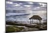 USA, California, La Jolla. Surf Shack at Windansea Beach-Ann Collins-Mounted Photographic Print