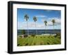 USA, California, La Jolla, Tall Palms at Scripps Park-Ann Collins-Framed Photographic Print