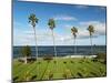 USA, California, La Jolla, Tall Palms at Scripps Park-Ann Collins-Mounted Photographic Print