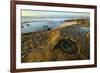 USA, California, La Jolla. Tide pools and ocean.-Jaynes Gallery-Framed Premium Photographic Print