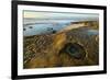USA, California, La Jolla. Tide pools and ocean.-Jaynes Gallery-Framed Premium Photographic Print