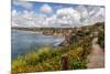 USA, California, La Jolla, View from Coast Walk-Ann Collins-Mounted Premium Photographic Print