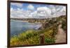 USA, California, La Jolla, View from Coast Walk-Ann Collins-Framed Photographic Print