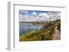 USA, California, La Jolla, View from Coast Walk-Ann Collins-Framed Photographic Print