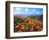 USA, California, Lake Elsinore. California Poppies Cover a Hillside-Jaynes Gallery-Framed Photographic Print