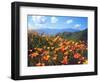 USA, California, Lake Elsinore. California Poppies Cover a Hillside-Jaynes Gallery-Framed Photographic Print