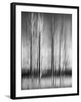 USA, California, Lake Tahoe, Abstract of Bare Aspen Trees and Snow at Carnelian Bay-Ann Collins-Framed Photographic Print